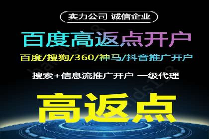 竞价推广实战：案例分析行业领军企业的成功之道